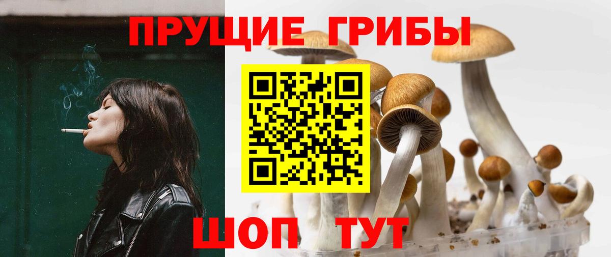 Галлюциногенные грибы GOLDEN TEACHER  Вход с VPN  что такое наркотик  Надым 